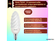Philips Twisted Candle BW 5w 827 E14