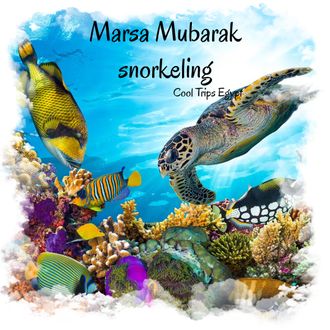 SEA TRIP TO MARSA MUBARAK - SNORKLING TRIP FROM MARSA ALAM
