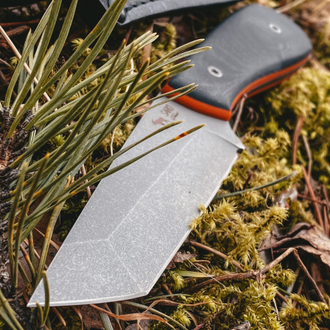 Лис ТАНТО (К110/G10)