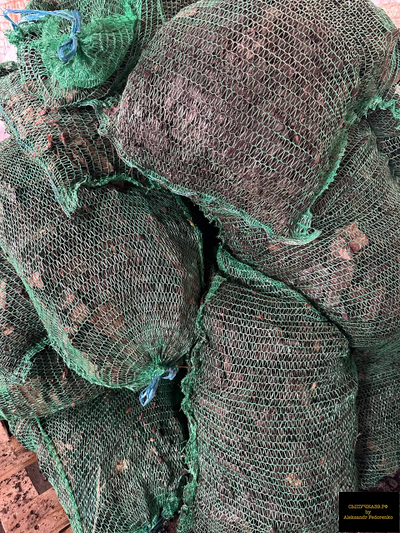 кора хвойных пород