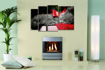 Модульная картина "Кот с красным бантиком"