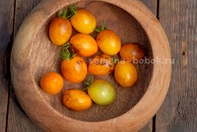 Томат Atomic Sunset (Атомный Закат), 10 шт