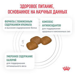 Royal Canin (Роял Канин) Diabetic сухой корм для собак при сахарном диабете, 1,5 кг