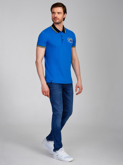 Футболка поло мужская, 1366, василек