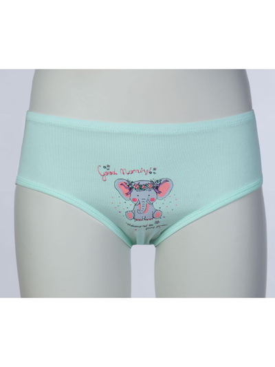 Трусы для девочек Baykar - 5560