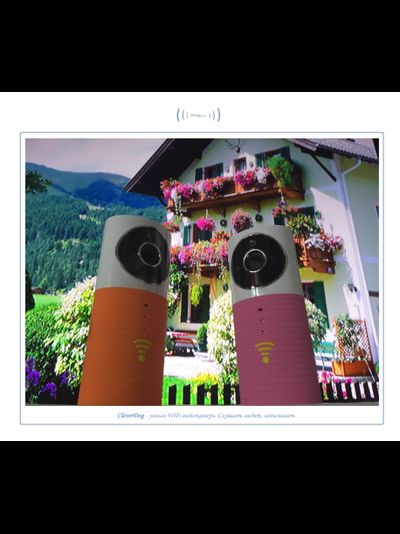 Видеоняня /WiFi видеокамера CleverDog Rose с DVR