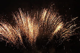 Бураки - парковые фейерверки | Neva-Salut Пиро Шоу