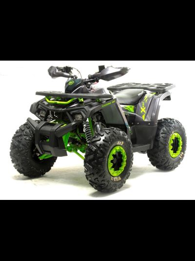 Квадроцикл подростковый MotoLand WILD X 125