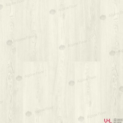 SPC ламинат Alpine Floor Classic Light Дуб Арктик ECO 134-77 купить на vinyl-laminat.ru