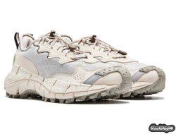 REEBOK ZIG KINETICA 2 EDGE BIEGE (40-45)