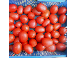 Томат Мархотская кисть (Мархотское гроно)