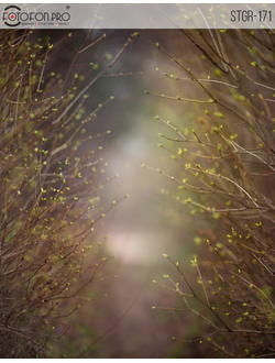 Фотофон на холсте «Намёк»