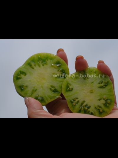 Томат Dwarf Emerald Giant (Гном Изумрудный гигант)