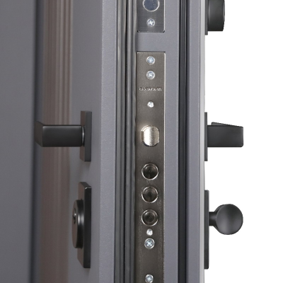 Стальная дверь   Winter (терморазрыв 3к). Заказная модель.