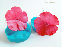 "Цветок флокса" Силиконовый молд (вайнер)