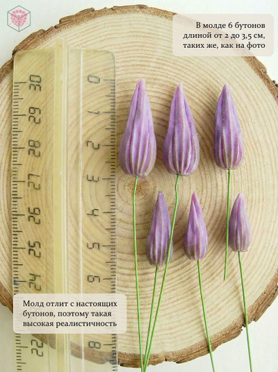 Молд "Бутоны клематиса"