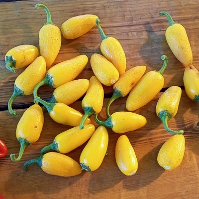 Перец острый Халапеньо желтый (Jalapeno Yellow)