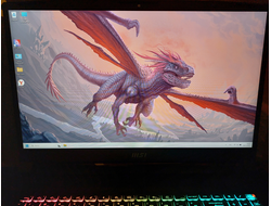 MSI Katana 17 B13VFK-1441XRU ( 17.3 FHD IPS 144Hz i5-13420H RTX4060 (8Gb) 16Gb 512+512Gb SSD )