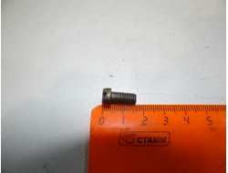 Болт М 6 (для моторов серии Д)