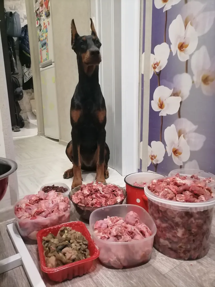 Хозяйка Рената: "Мы стали сыроедами относительно недавно, порекомендовали нам "Идеальный рацион" и мы сразу стали поклонниками этого магазина 