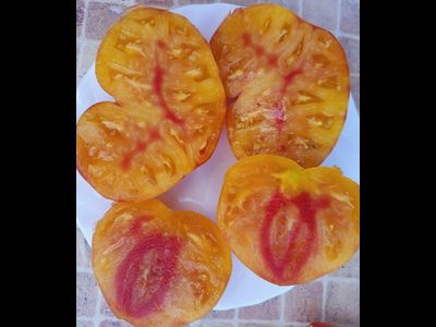 Томат Тайна Марсии (Marcy's Mystery) США