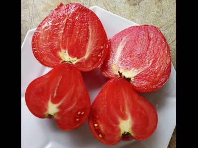 Томат Медвежье сердце