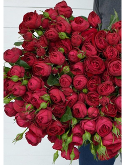 Букет из кустовой пионовидной розы Руби Джем