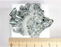 Клинохлор (серафинит), срез полированный с одной стороны, Россия, Иркутская область (58*48*6 мм, 17,8 г) №28404