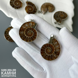 Аммониты парные крупные кулоны 28-34х23-28 мм, цена за пару