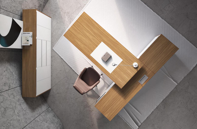 Кабинет руководителя ALPINA