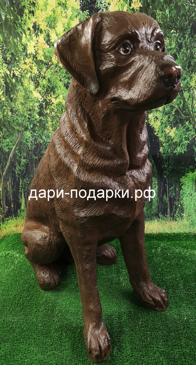 ЛАБРАДОР шоколад 69*54см  5кг  полистоун Россия 4635/012238*