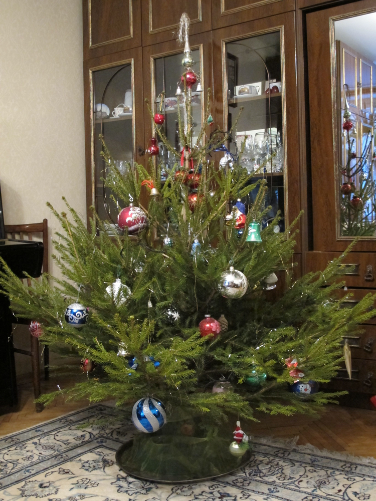 zhivye yolki s dostavkoj na dom kupit