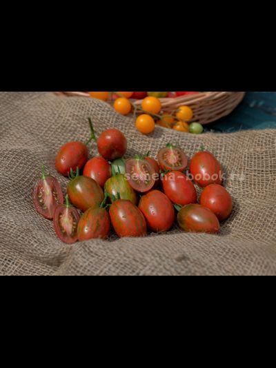 Томат Dwarf Audrey’s Love Tomato (Гном Любовь Одри), 10 шт