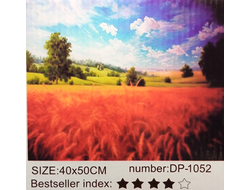 Алмазная мозаика 40х50см на подрамнике DP1052