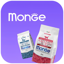 Monge