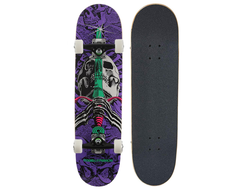 Купить скейтборд POWELL PERALTA SKULL & SWORD BIRCH в Иркутске