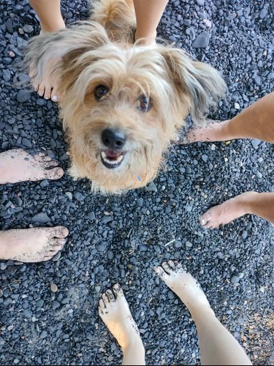 Прогулка на катере «Шунгитовый пляж»