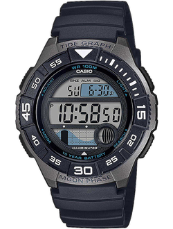Часы Casio WS-1100H-1A