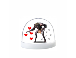 Водяной шар Witcher, Ведьмак №24