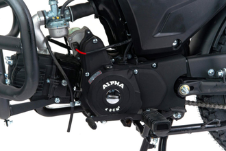 Мопед Motoland Альфа RS LUX 11 (LM48-B)