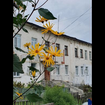 Экскурсия "Чекалин (Лихвин) – самый маленький город России + Гремячев монастырь"