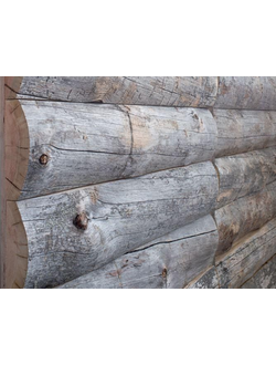 Полубревно КЕЛО Карельская сухостойная сосна 14 см