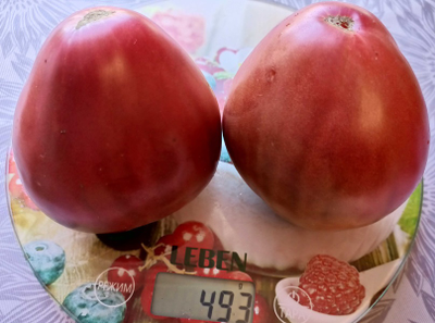 Томат Черное сердце Америки