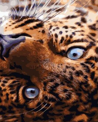 Картина по номерам 40х50 Эксклюзив!!! GX 33512 Взгляд леопарда