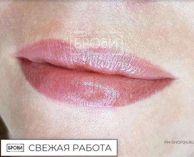 Пигменты Губы - Соленая Карамель Анны Куцеволовой - pm-shop24.ru