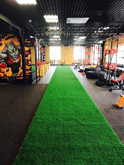 Трава для спортивных залов Premium