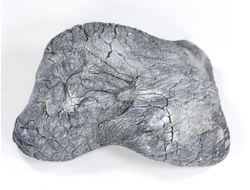 Кахолонг (Опал), желвак цельный, Оренбургская обл. (70*49*26 мм, 109 г) №29451