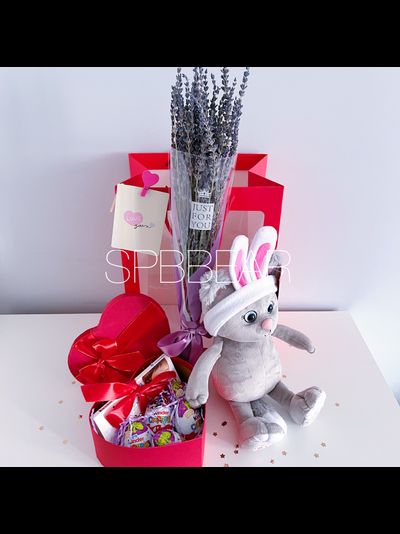 Подарочный набор №17 - Плюшевый котик на выбор, Лаванда, Киндер бокс средний