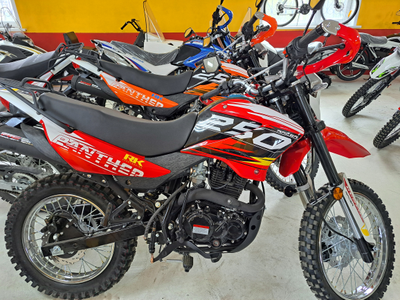 Racer PANTHER RC250GY-C2 (2024)
