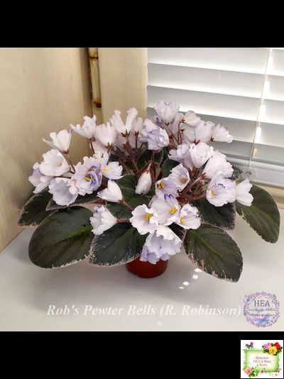 Rob&#039;s Pewter Bells (R. Robinson) 07/06/1992